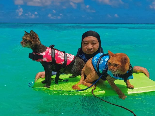 ペットと貸切_Kings sea Road