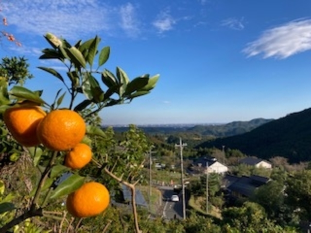 見晴らし最高_大附園