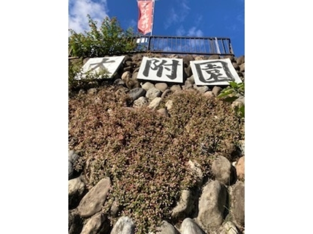 大附園です_大附園