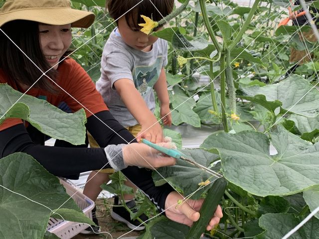にっこり体験(農業・収穫体験ツアー)_Veggie de+