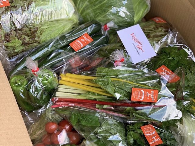 季節の野菜セット(お取り寄せ)_Veggie de+