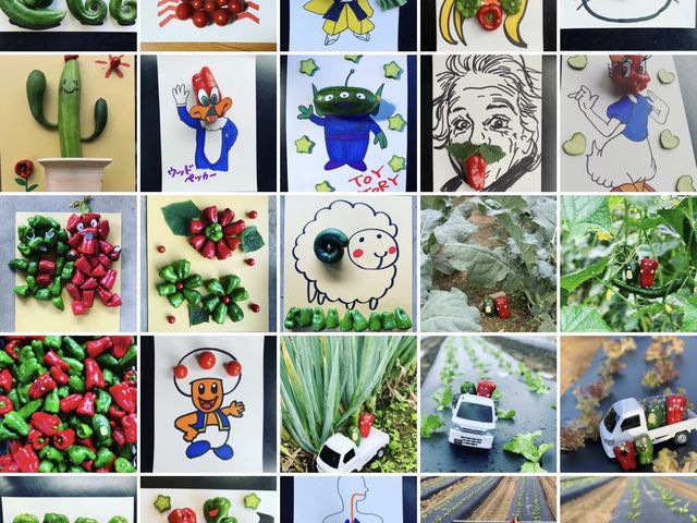 野菜アート_Veggie de+