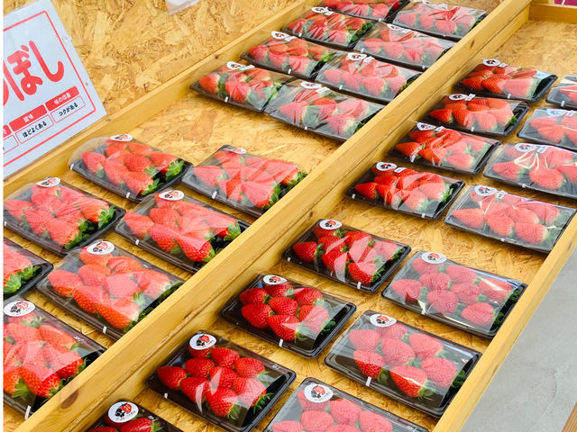 湖東こぐま農園