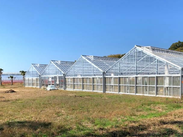 最新式のイチゴ狩り専用施設です。_糸島農園