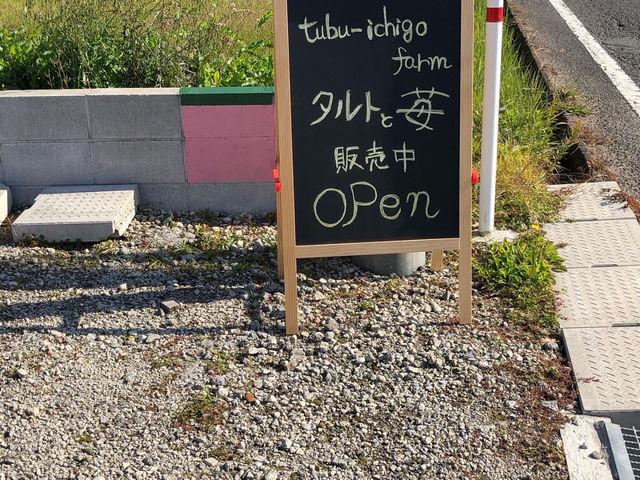 新鮮イチゴ販売してます_tubu-ichigo