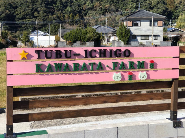 この完売が目印です_tubu-ichigo