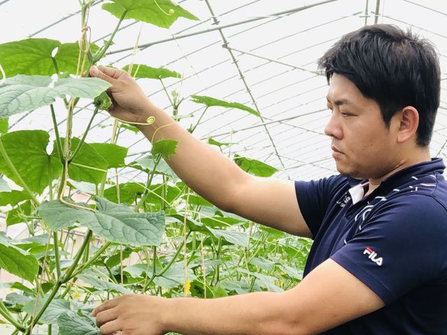 安全安心をモットーに特別栽培やSGAPに取り組んでいます。_ちちぶ丸山農園