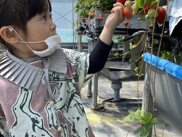おおのきファーム