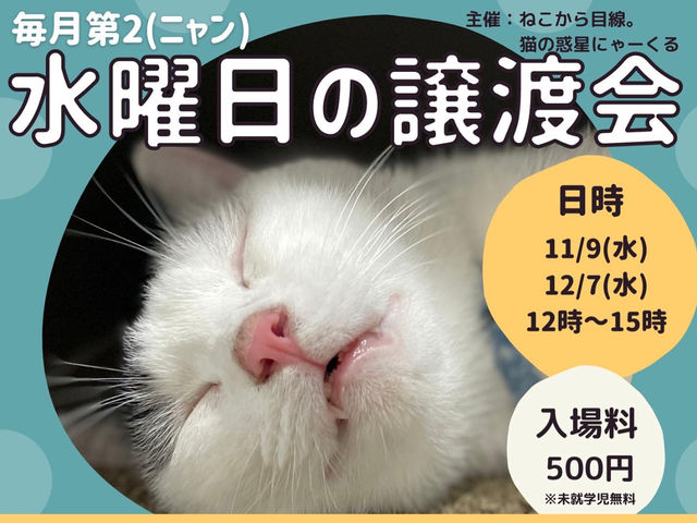 毎月第2(ニャン)水曜日は譲渡会も開催しております!_猫の惑星にゃーくる