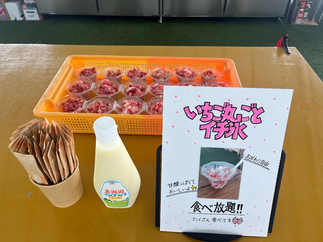 いちご100%のイチ氷も食べ放題!!_いちごいちえ
