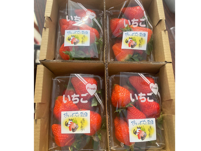 あいのいちご農園