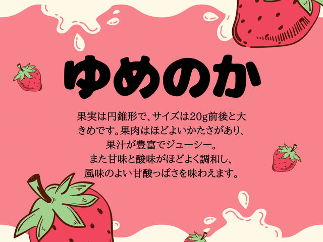 ゆめのかは、主に直売、出荷用のいちごになります。_あいのいちご農園