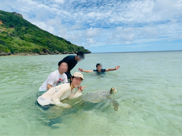 こんな浅瀬で海亀ちゃんに逢えちゃうことも!_宮古島観光貸切ガイド 南風