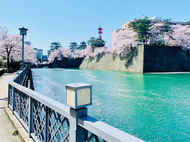 福井城址お堀端_ふくいのまちガイド
