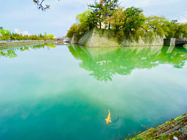 福井城址お堀端_ふくいのまちガイド