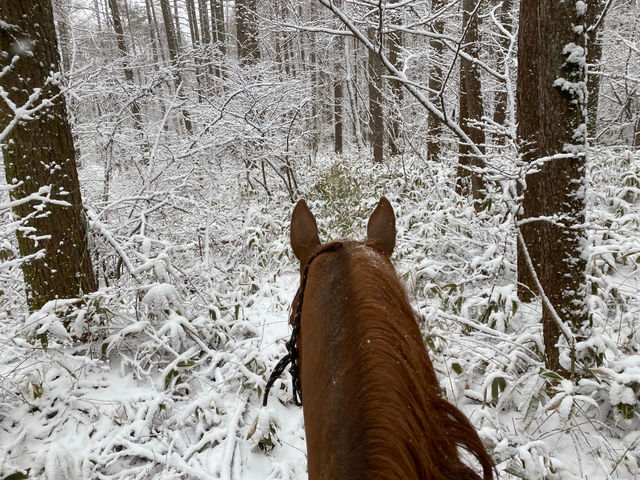 Riding club Ciel bleu Yatsugatake