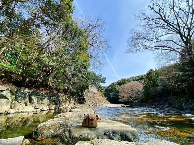 五十鈴川の飛び石は、川のせせらぎが楽しめる知る人ぞ知る隠れた名所_伊勢ぷちたび