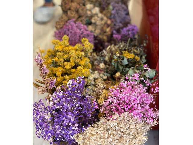 お花畑なドライフラワーたち。_お花畑