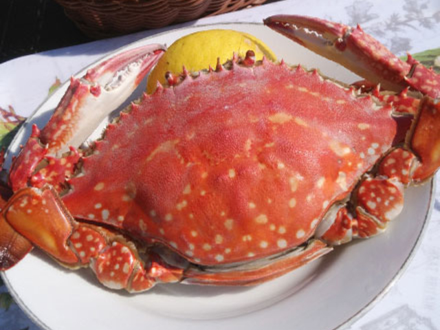 牡蠣焼き 八光