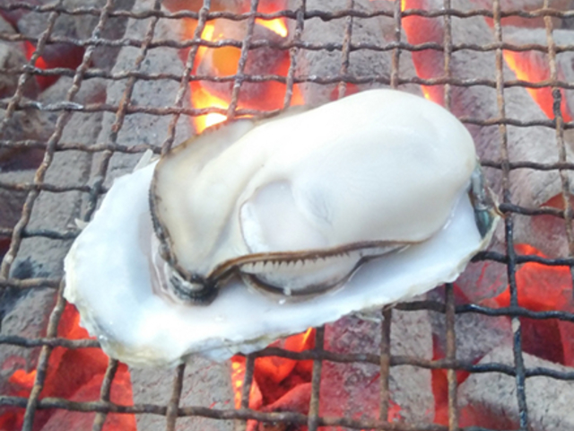 牡蠣焼き 八光