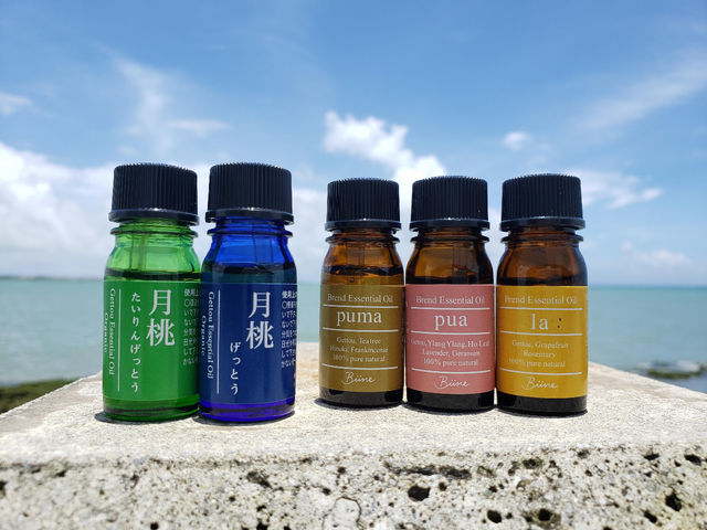 【琉球ドライヘッドスパ&フットケア】zzz…