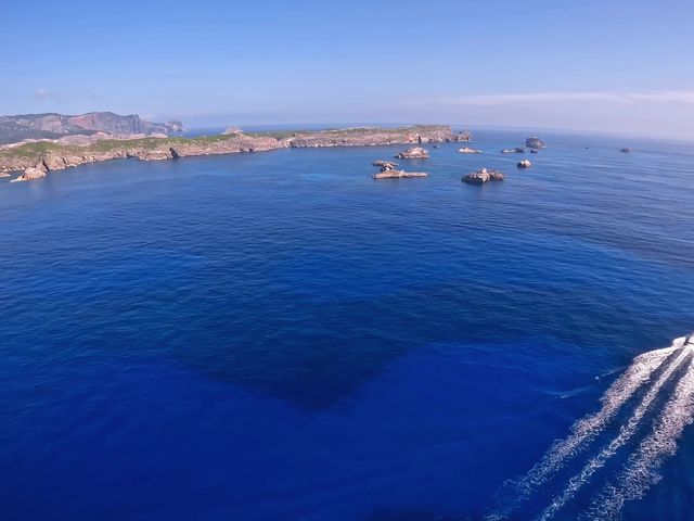 天然記念物『南島の沈水カルスト』の周辺海域。独特な網目状の海底が見えています。_父島パラセール