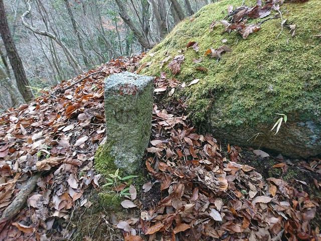 ルート上には数々の道標が。_甲賀リアル忍者研究所