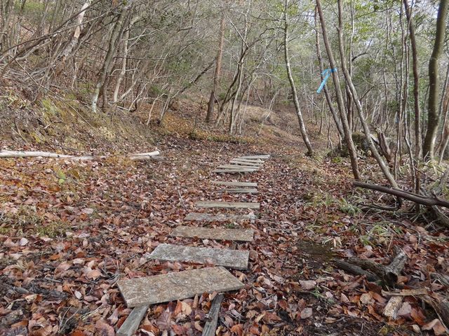 奇跡的に残された(と思われる)甲賀ルートの古道。_甲賀リアル忍者研究所