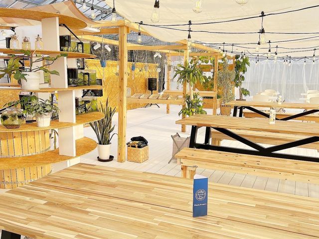 BIWAKO AQUA PONICS