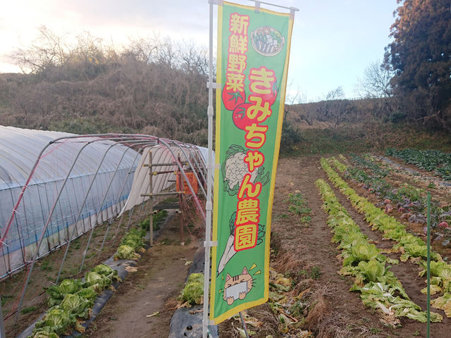 のぼり旗が目印_きみちゃん農園