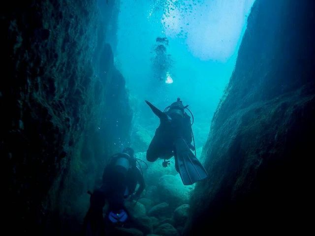 南紀大島DIVE ISLAND