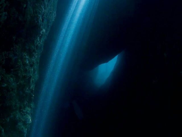 南紀大島DIVE ISLAND