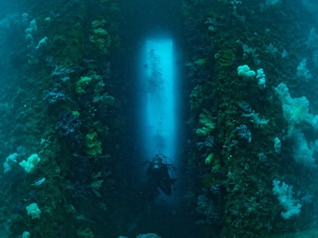 南紀大島DIVE ISLAND