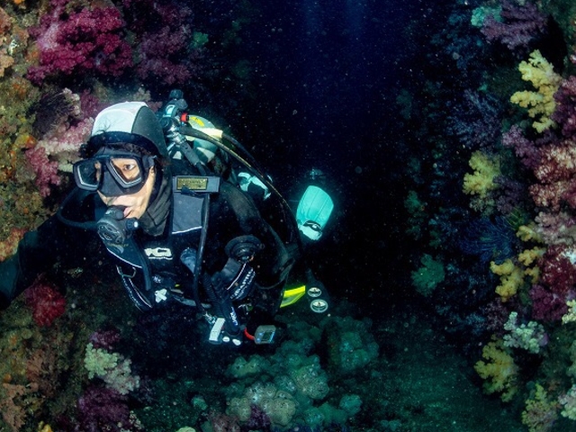 南紀大島DIVE ISLAND