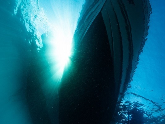 南紀大島DIVE ISLAND