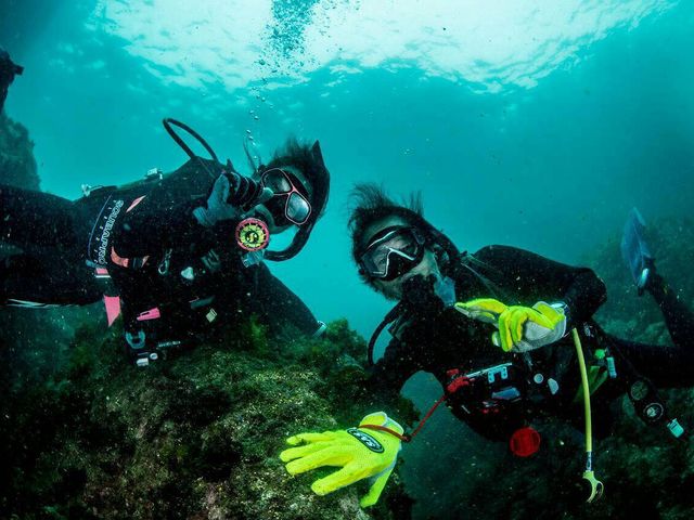 南紀大島DIVE ISLAND