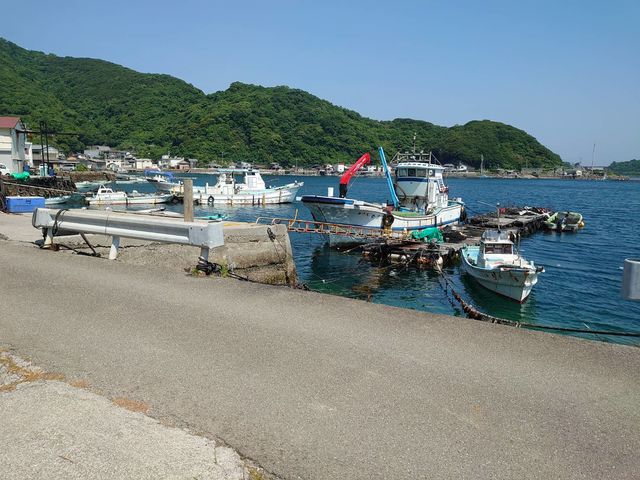 弊社の船場になります。釣り体験で来られた際は、こちらから乗船して頂き、弊社の沖合生け簀まで移動します。_手釣り体験 こもこもshop