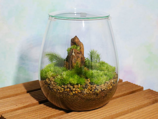 【ちょっぴり上級コース】 【使用苔:3種類】【気孔石に苔を挿すことが可能】 【フィギュアは別途料金】_Milky Green 横浜赤レンガ倉庫店