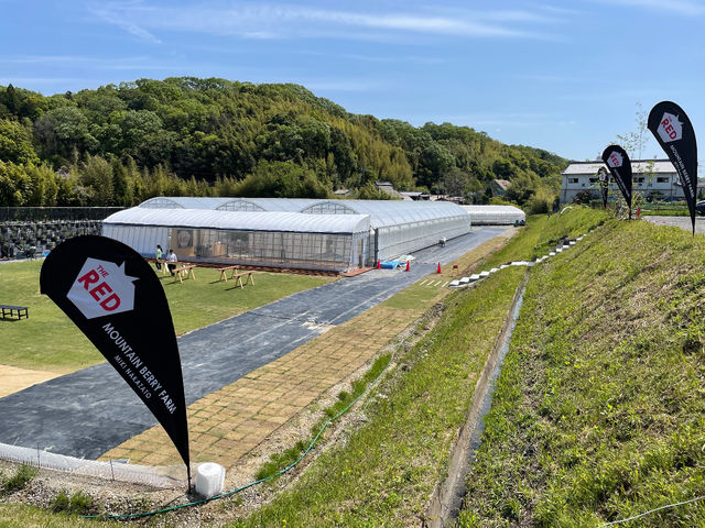 園内全景_THE RED mountain berry farm