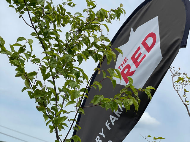開園日はこのフラッグが目印です_THE RED mountain berry farm