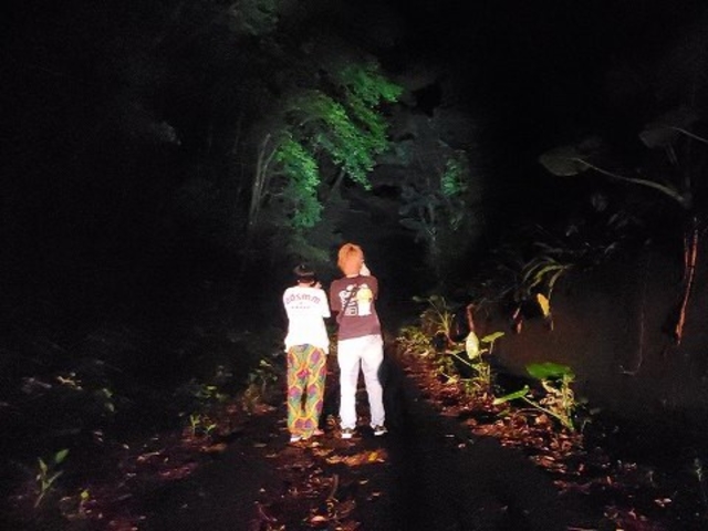 夜の森探検_旅友Tokunoshima