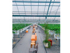 あいのいちご農園の写真1