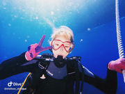 シェルシーの写真2