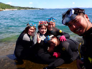 シェルシーの写真4