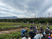 One tenth Fuji 377.6の写真4