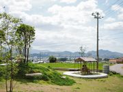 SUNNYSIDE FIELDSの写真2