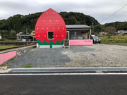 tubu-ichigoの写真3