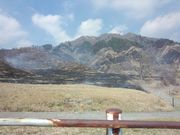 体験民宿なかむら牧場の写真4