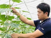ちちぶ丸山農園の写真2