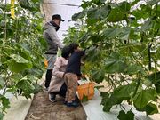 ちちぶ丸山農園の写真4